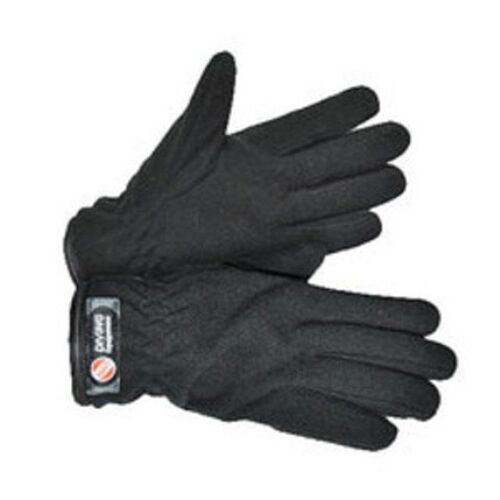 Winter polar lining for dry gloves