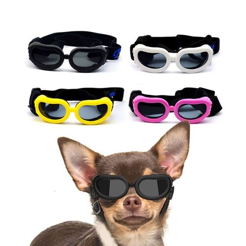 UV차단 소형 중형 강아지고글 도글라스 강아지 안경